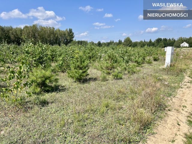 Działka budowlana Rząśnik Szlachecki. Zdjęcie 7