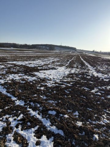 Działka rolna Ścinawka Dolna. Zdjęcie 1