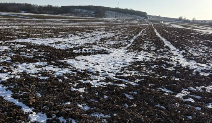 Działka rolna Ścinawka Dolna