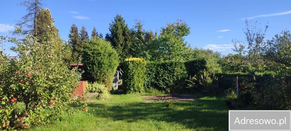 Działka rod Pyskowice. Zdjęcie 9