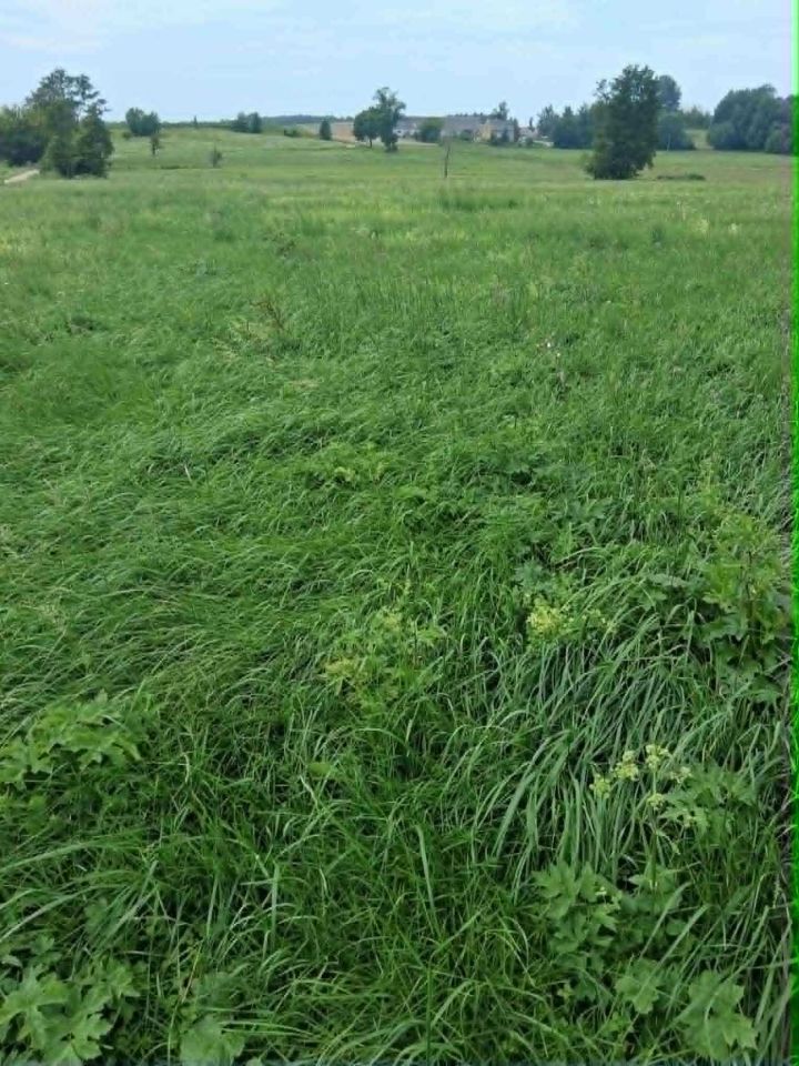 Działka budowlana Rogienice Wielkie. Zdjęcie 1