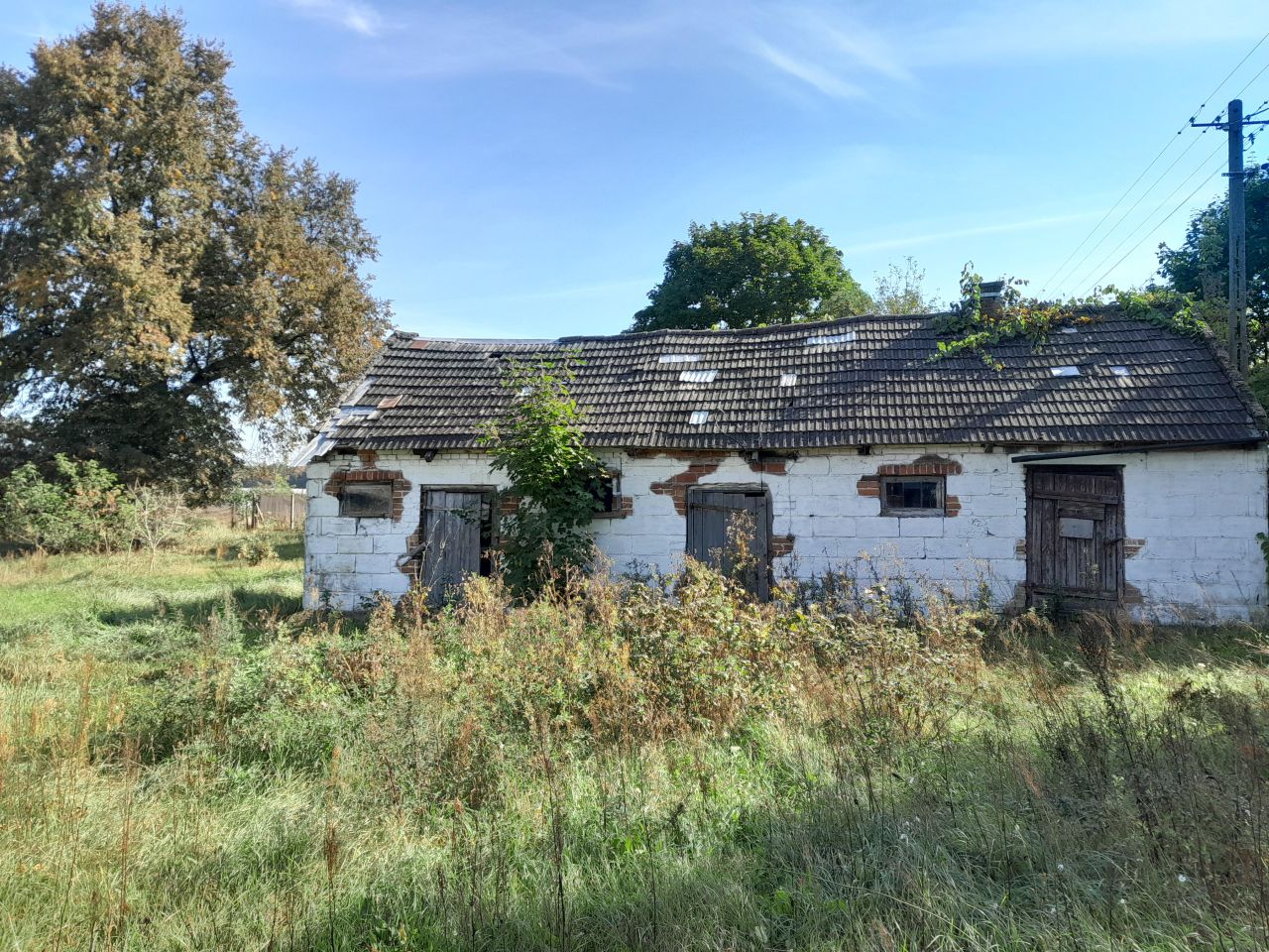 Działka rolno-budowlana Cecylówka Głowaczowska, Cecylówka. Zdjęcie 6