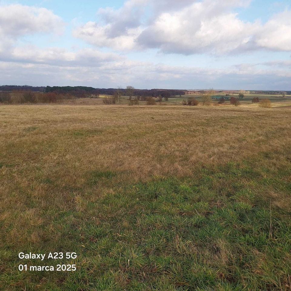 Działka budowlana Lemierzyce. Zdjęcie 3