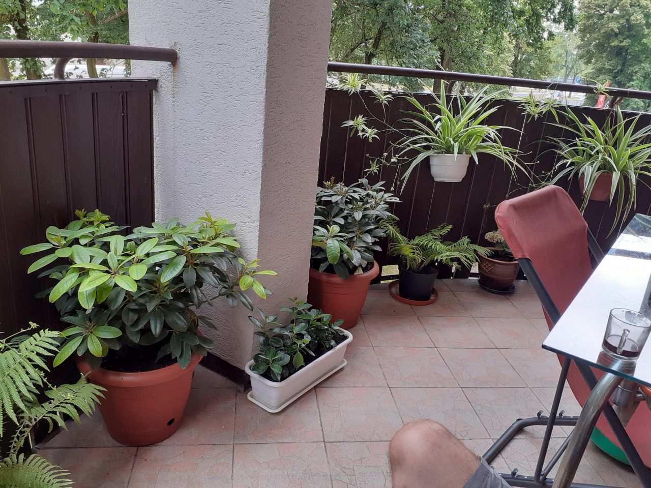 Mieszkanie 3-pokojowe Płock Stare Miasto, ul. Kolegialna