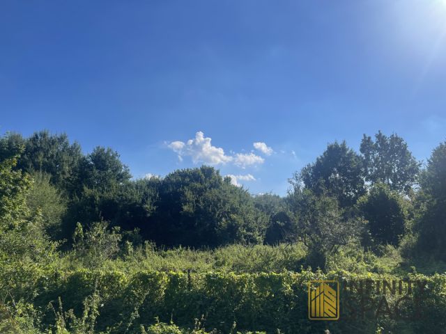 Działka inwestycyjna Frombork, ul. Jaśminowa. Zdjęcie 8