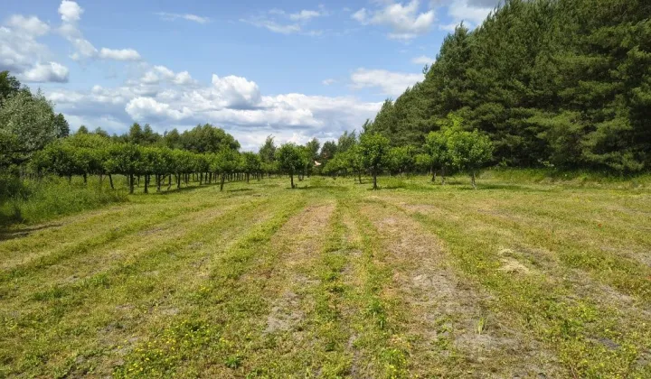 Działka rolno-budowlana Opole Lubelskie, ul. Fabryczna