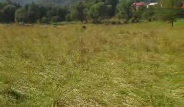 Działka inwestycyjna Zawoja Szczurki