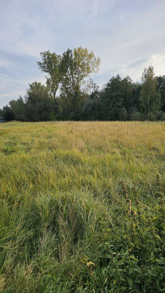 Działka inwestycyjna Palikówka. Zdjęcie 5