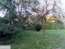 Działka budowlana Lublin Szerokie, ul. Strumykowa. Zdjęcie 1