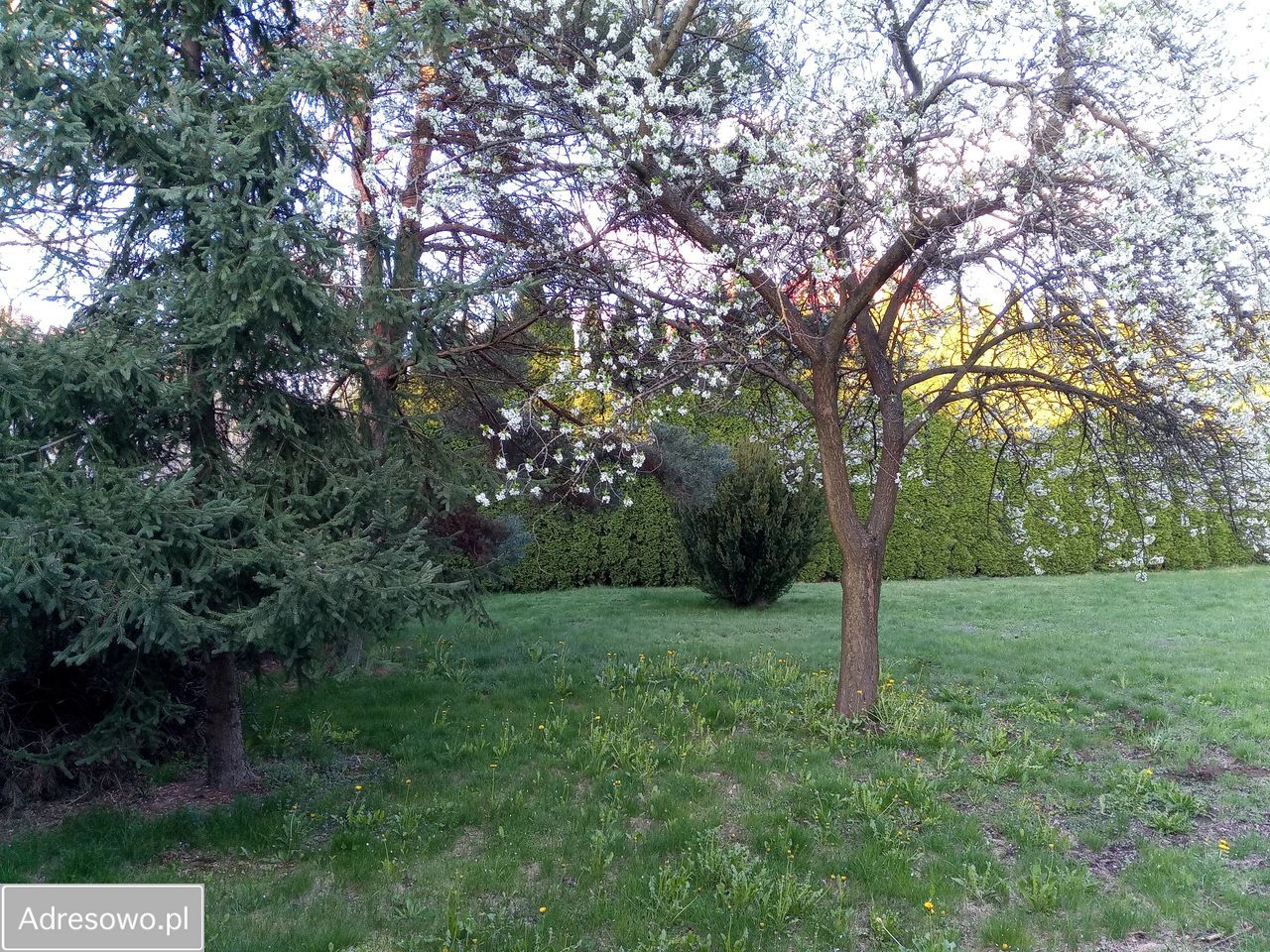 Działka budowlana Lublin Szerokie, ul. Strumykowa. Zdjęcie 2