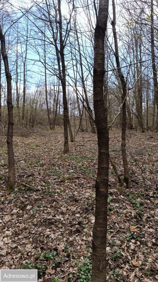 Działka rolna Węglówka. Zdjęcie 4
