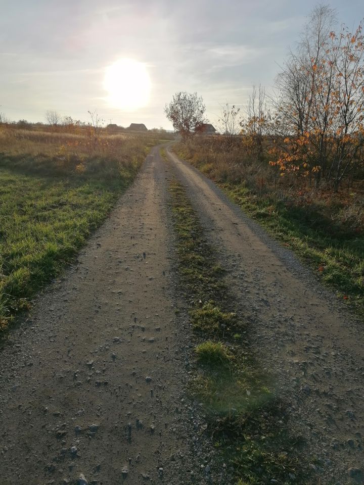 Działka rolno-budowlana Gniewce. Zdjęcie 6