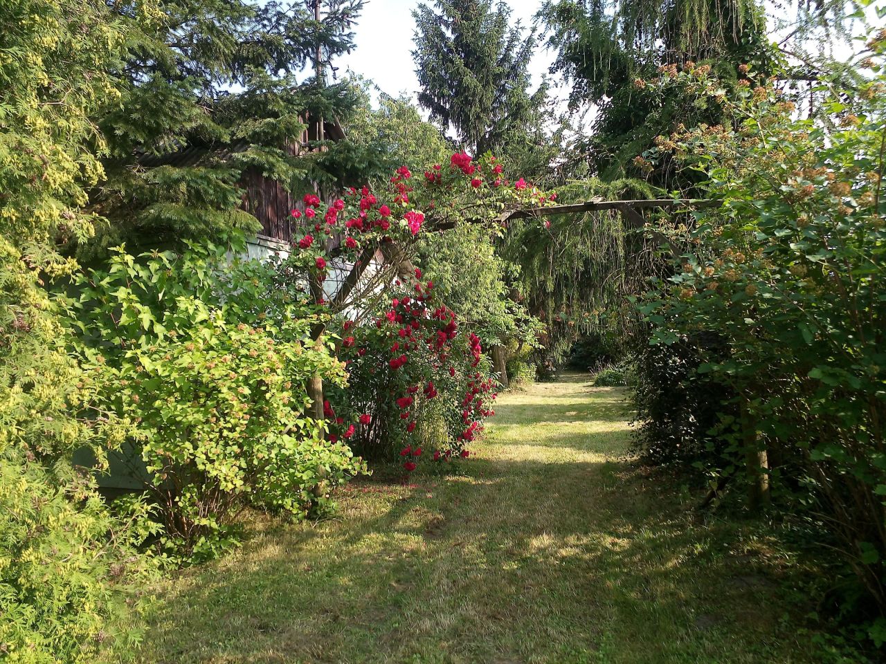 Działka siedliskowa Wolica. Zdjęcie 7