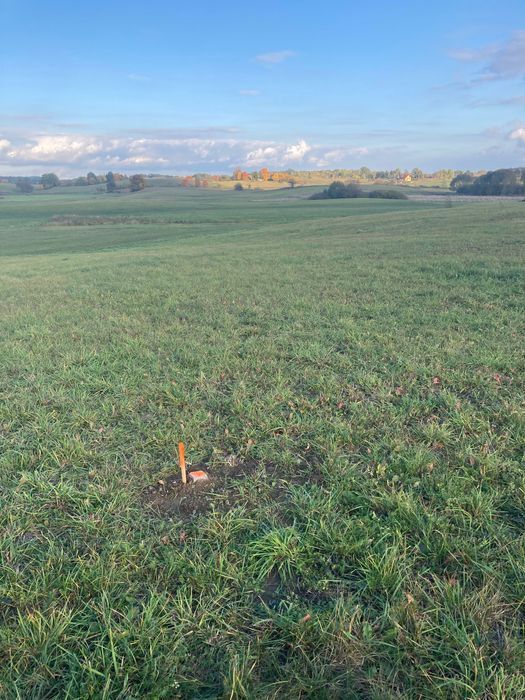 Działka rolna Burdąg. Zdjęcie 5