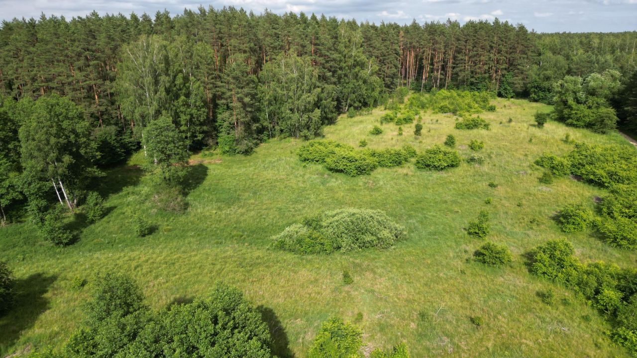 Działka rolno-budowlana Krawno. Zdjęcie 2