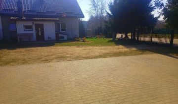 bliźniak Wiłunie