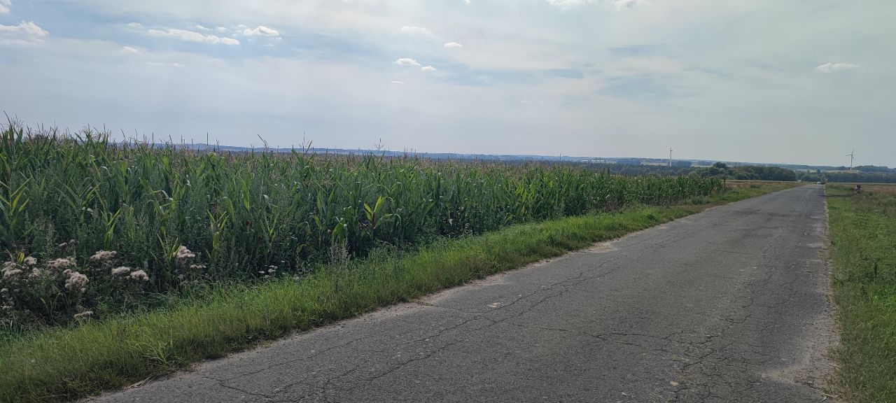 Działka rolno-budowlana Kołacinek. Zdjęcie 5