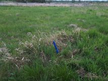 Działka rolna Warnołęka. Zdjęcie 1