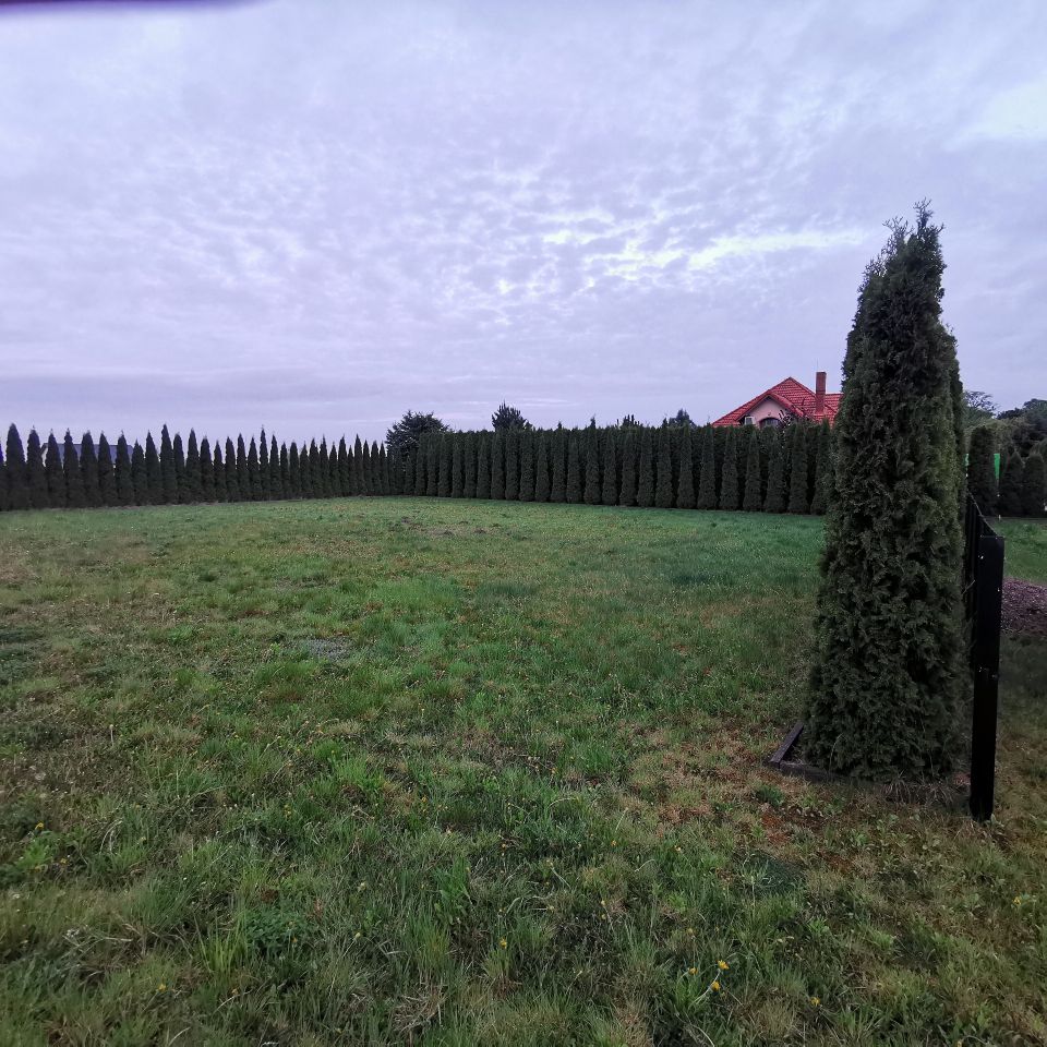 Działka budowlana Dzierzążenko. Zdjęcie 4