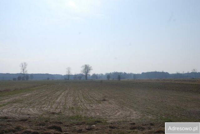 Działka budowlana Mokobody. Zdjęcie 1