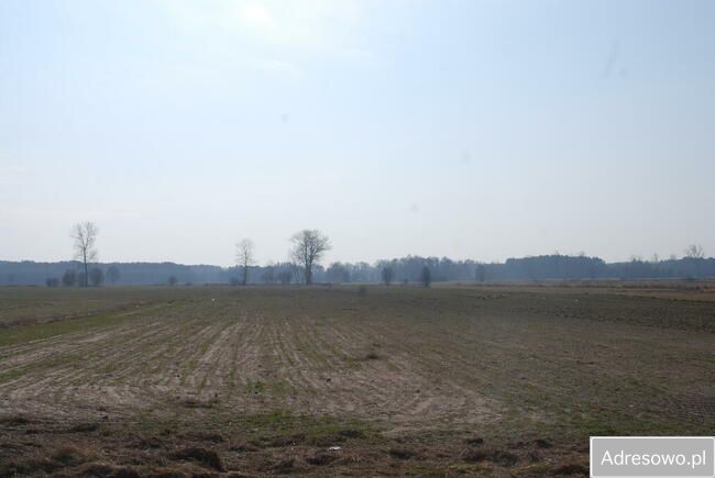 Działka budowlana Mokobody. Zdjęcie 1
