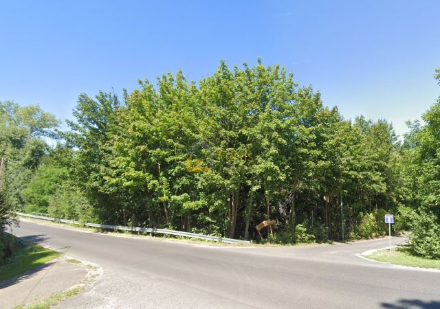 Działka rolna Stankowice. Zdjęcie 2