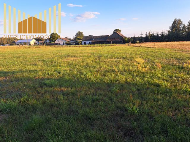 Działka siedliskowa Borki. Zdjęcie 1