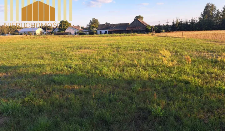 Działka siedliskowa Borki