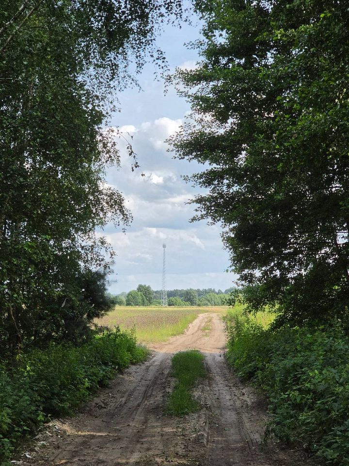 Działka leśna Brody, ul. Kwiatowa. Zdjęcie 6