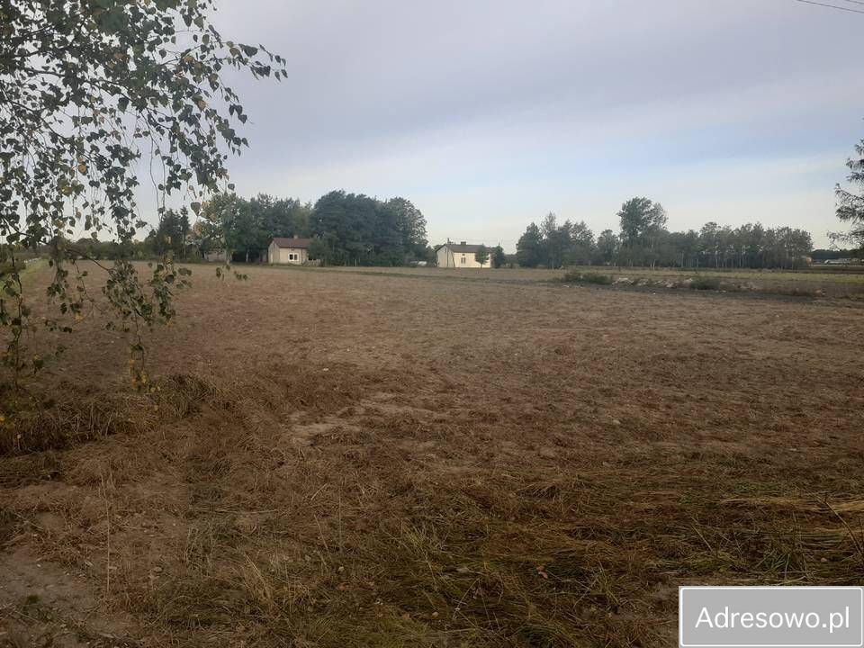 Działka rolna Biała Wieś. Zdjęcie 6