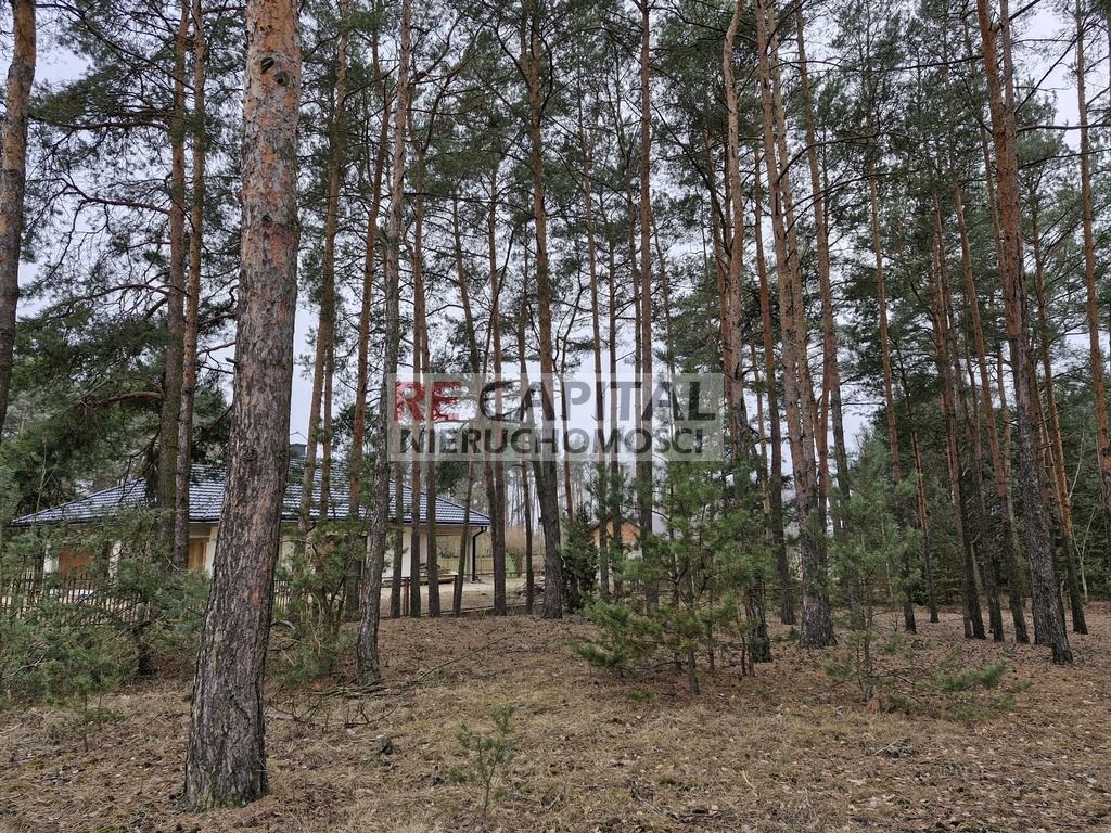 Działka inwestycyjna Adelin. Zdjęcie 3