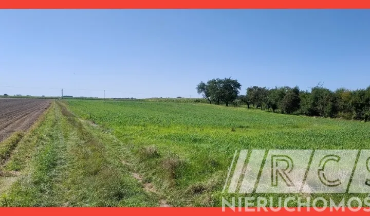 Działka budowlana Sadków