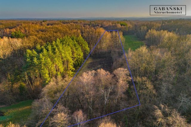 Działka budowlana Zaczarnie. Zdjęcie 3