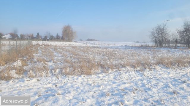 Działka budowlana Szewce, ul. Długa. Zdjęcie 1