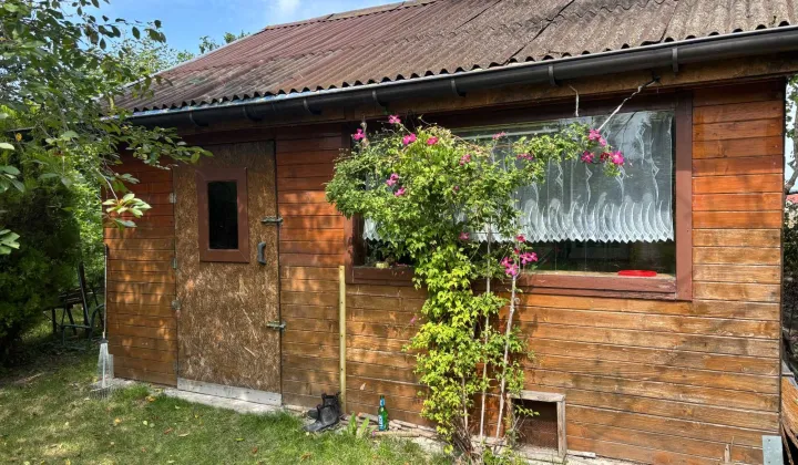 Działka rod Jędrzejów