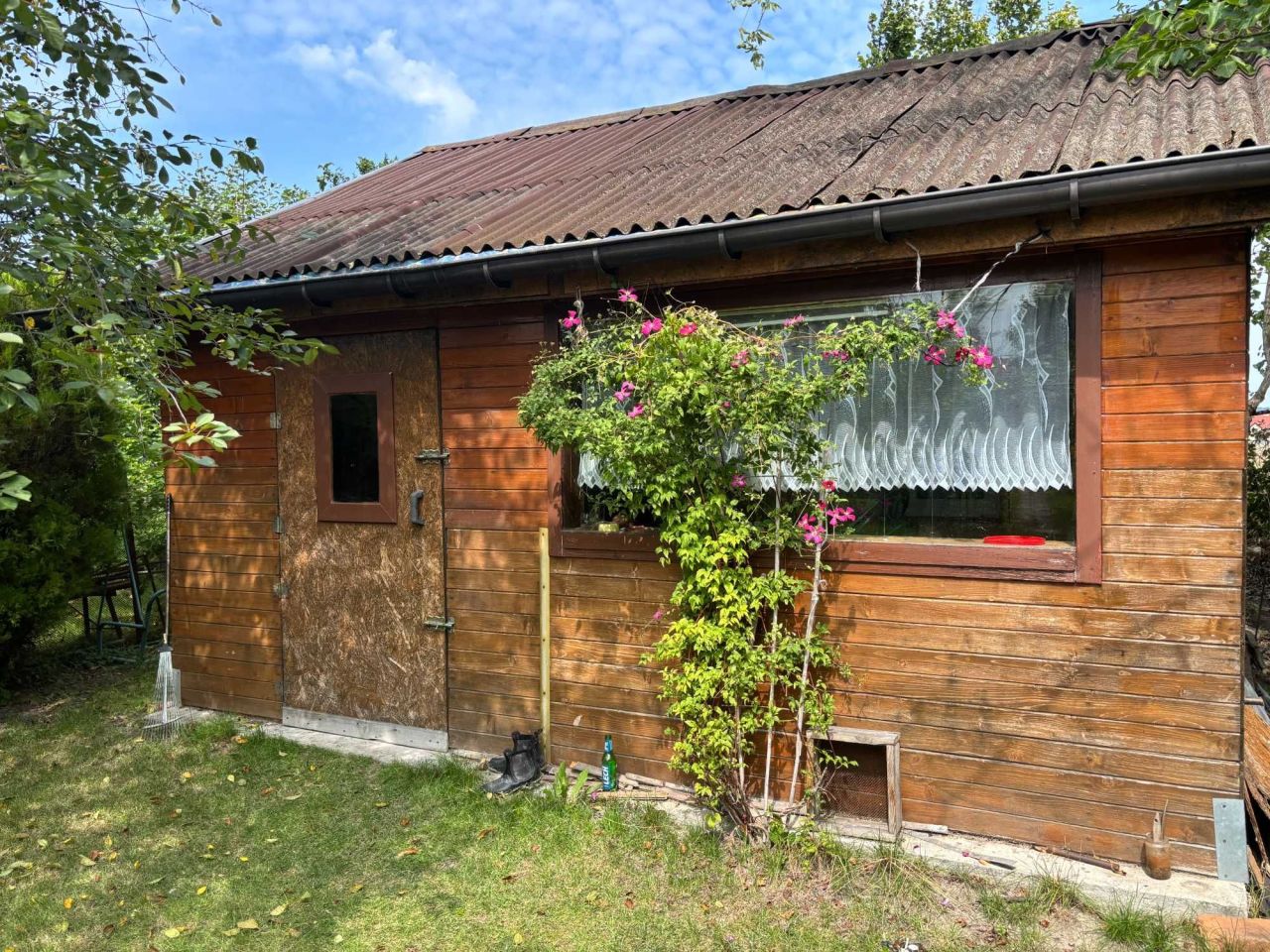 Działka rod Jędrzejów. Zdjęcie 1