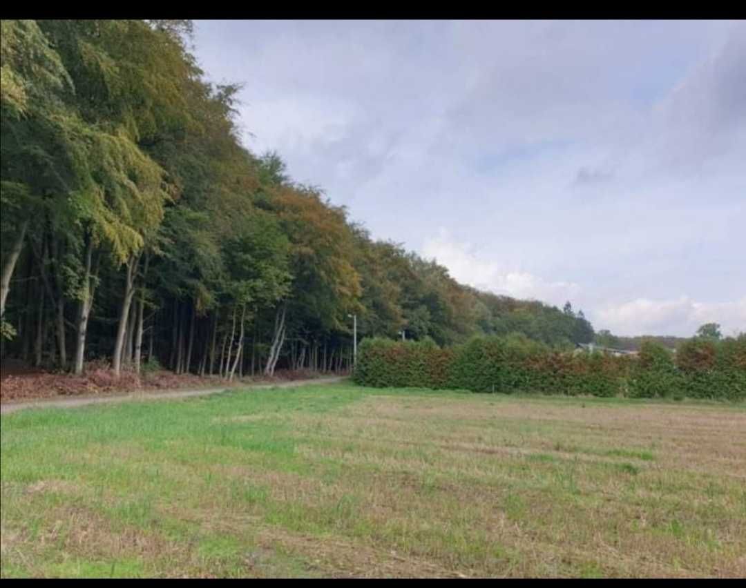 Działka rolna Zaleszczyce. Zdjęcie 2