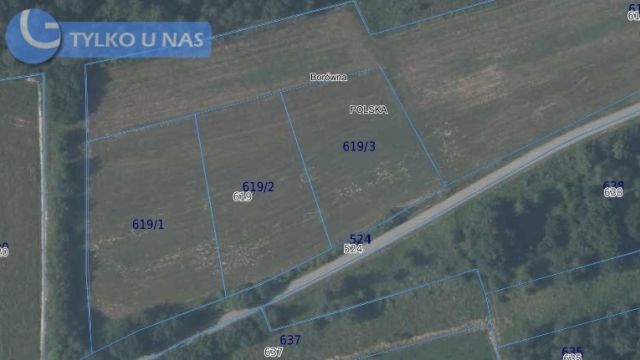 Działka budowlana Borówna. Zdjęcie 11