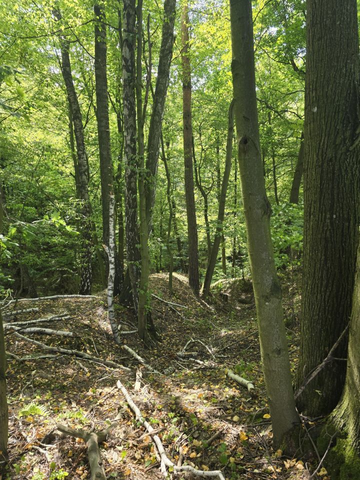 Działka rolno-budowlana Stok. Zdjęcie 7