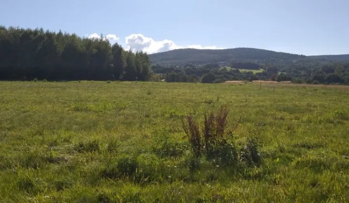 Działka budowlana Kromnów