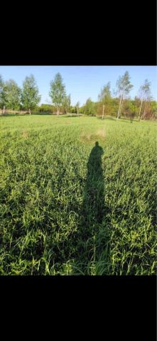 Działka rolna Wierzbiny. Zdjęcie 1