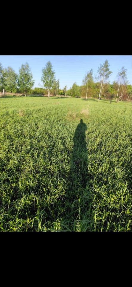 Działka rolna Wierzbiny