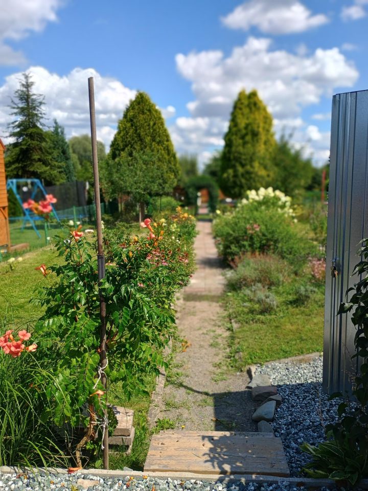 Działka rod Knurów Szczygłowice, ul. Aleja Piastów. Zdjęcie 2