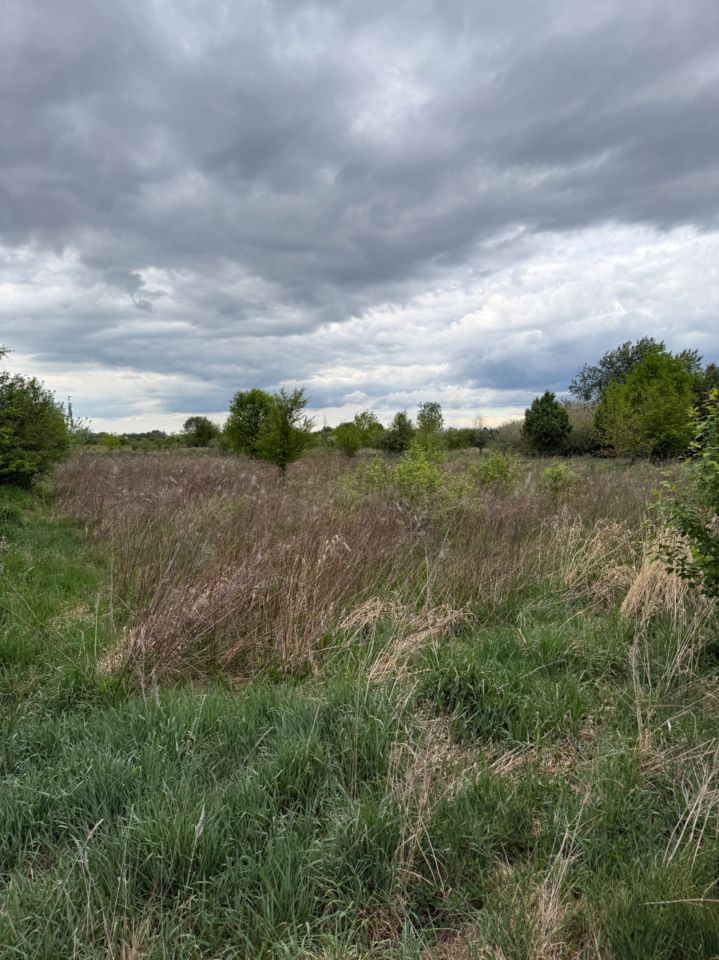Działka budowlana Brwinów, ul. Wygonowa. Zdjęcie 6