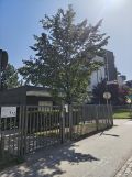 Mieszkanie 2-pokojowe Warszawa Wilanów, al. Rzeczypospolitej. Zdjęcie 2