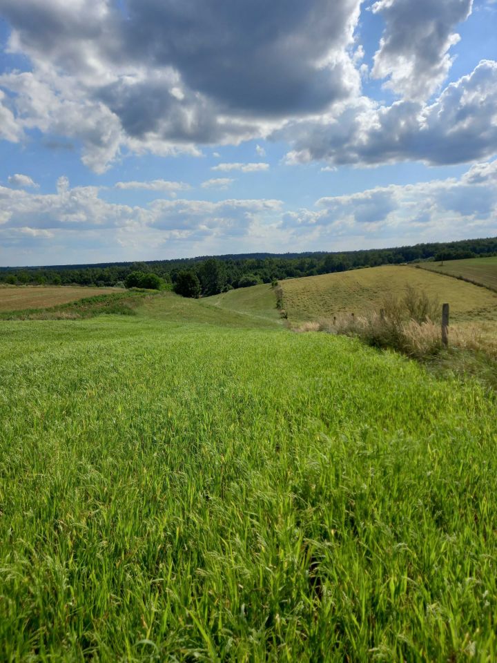 dom wolnostojący Klimontów. Zdjęcie 5