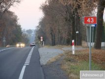 Działka rolno-budowlana Pątnów. Zdjęcie 3