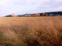 Działka budowlana Krężnica Jara. Zdjęcie 1