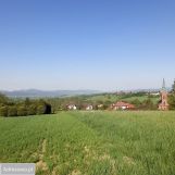 Działka rolno-budowlana Lipowa. Zdjęcie 4