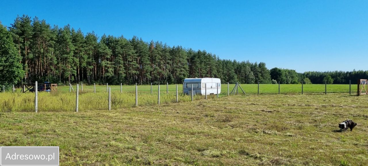 Działka rekreacyjna Huta-Chojno. Zdjęcie 10